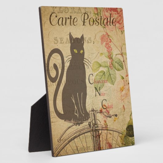 Französische Postkartenebene Fotoplatte (Seite)