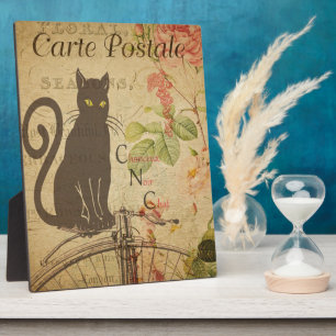 Französische Postkartenebene Fotoplatte