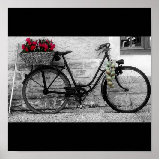 Französische Räder und Besätze Poster (Vorne)