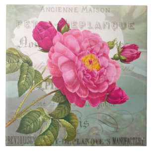 Französische Rosa Blume Keramik Tile Fliese