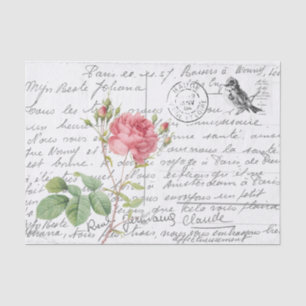 Französische Schreibschrift Pink Cumberland Rose V Seidenpapier