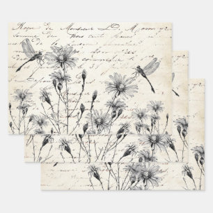 Französische Schreibschrift-Schmetterlingslibelle- Geschenkpapier Set