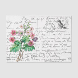 Französische Schrift Vintage Primel Vogel Postkart Seidenpapier