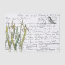 Französische Schrift Vintage Schneeglöckchen Vogel