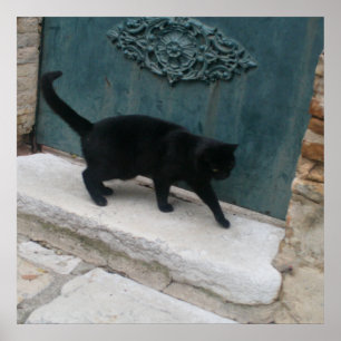 Französische schwarze Katzen-Nizza Poster