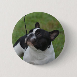Französische Schwarzweiss-Bulldogge Button