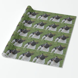 Französische Schwarzweiss-Bulldogge Geschenkpapier