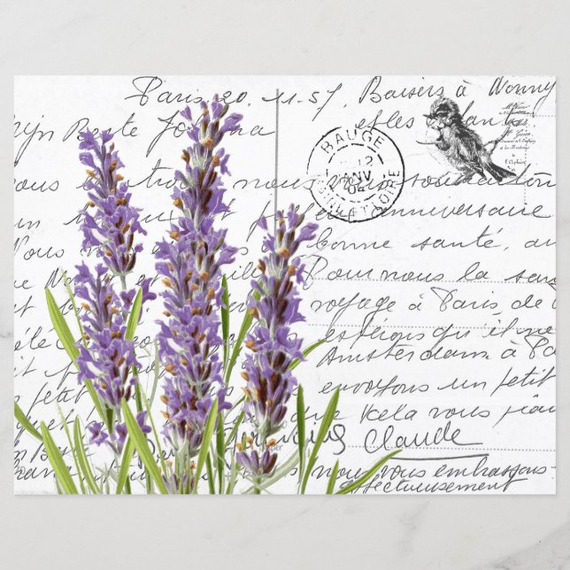 Französische Script Vintag Lavender Bird Postcard (Vorderseite)