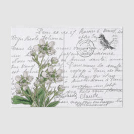 Französische Script Vintage White Blume Bird Postc Seidenpapier