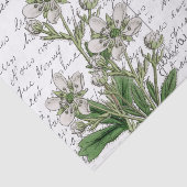 Französische Script Vintage White Blume Bird Postc Seidenpapier (Ausschnitt)