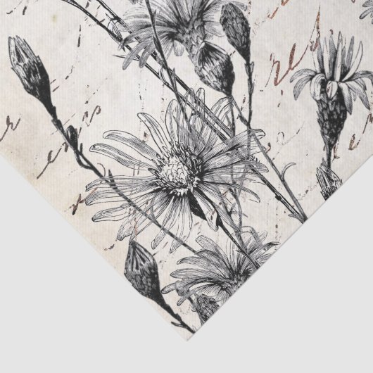 Französische Script-Wildblume Dragonfly Decoupage  Seidenpapier (Ausschnitt)