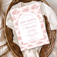 Französische Toile Baby Shower Rosa