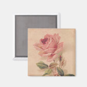 Französische Viktorianische Rosa Rose Magnet (Vorderseite/Rückseite)