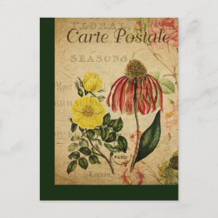 Französische Vintage-Botanik-Postkarte Mischung Postkarte
