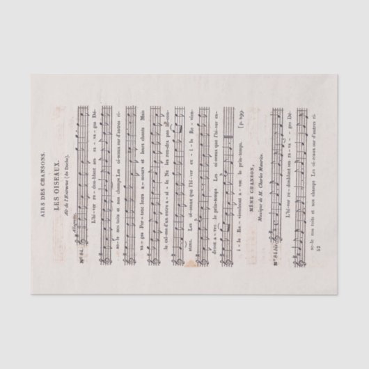 Französische Vintage Noten: Die Vogeldekoupage Seidenpapier (Vorderseite)