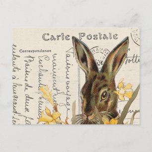 Französische Vintage-Osterhasen-Narzissen-Postkart Postkarte