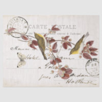 Französische Vintage-Postkarte Vogel Schmetterling