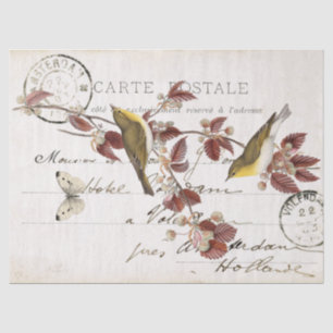 Französische Vintage-Postkarte Vogel Schmetterling Seidenpapier