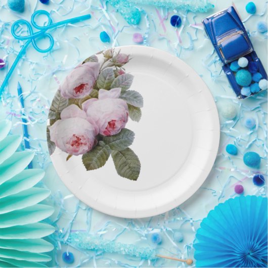 Französische Vintage Rose Pappteller (Party)
