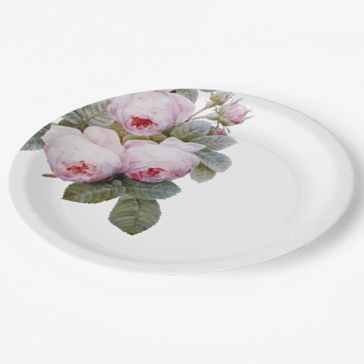 Französische Vintage Rose Pappteller (Schrägansicht)