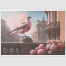 Französische Vogelnelken