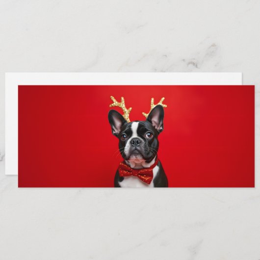 Französische Weihnachtsfeige am Schmetterlingsknot (Vorne/Hinten)