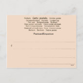 Französische Weihnachtskarte 1904, Joyeux-Weihnach Feiertagspostkarte (Rückseite)