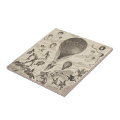 Französische Werbung für Ballonhersteller Fliese (Seite)