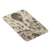 Französische Werbung für Ballonhersteller Magnet (Rechte Seite)