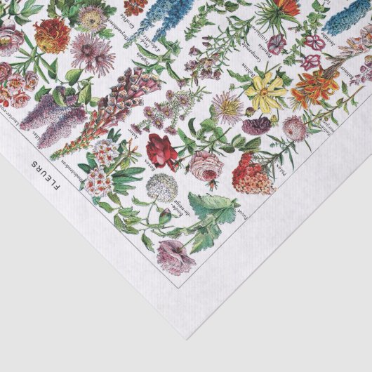 Französische Wörterbuch-Platte Seidenpapier (Ausschnitt)