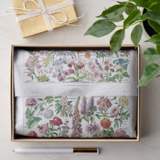 Französische Wörterbuch-Platte Seidenpapier (Geschenk)