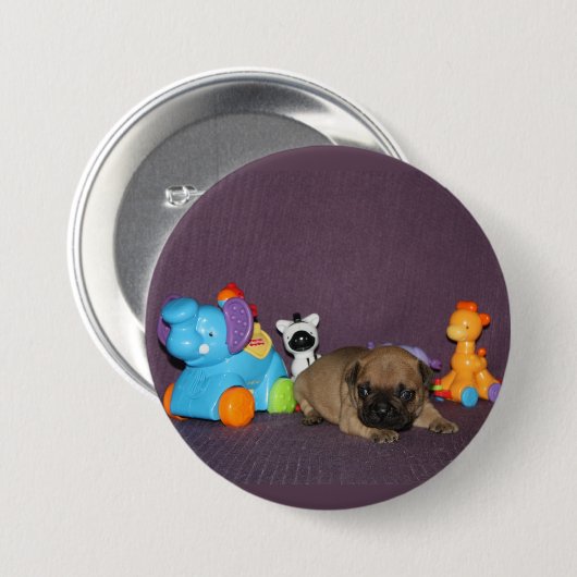 Französischen Bulldoggen Button (Vorne & Hinten)