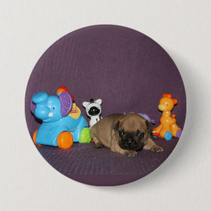 Französischen Bulldoggen Button