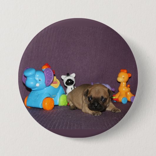 Französischen Bulldoggen kleiner Welpe Bulldog Button (Vorderseite)