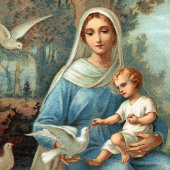 Französischer Blaue Madonna Poster