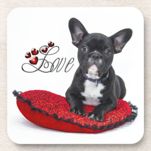 Französischer Bull Dog - Französische Liebe Getränkeuntersetzer