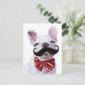 Französischer Bull Doppy Welpe mit Mustache Postkarte (Stehend Vorderseite)