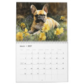Französischer Bulldog 2026 Kalender (Mär 2027)