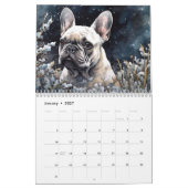 Französischer Bulldog 2026 Kalender (Jan 2027)