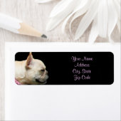 Französischer Bulldog-Adresseetikett (Insitu)