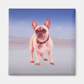 Französischer Bulldog am Strand Magnet (Vorne)