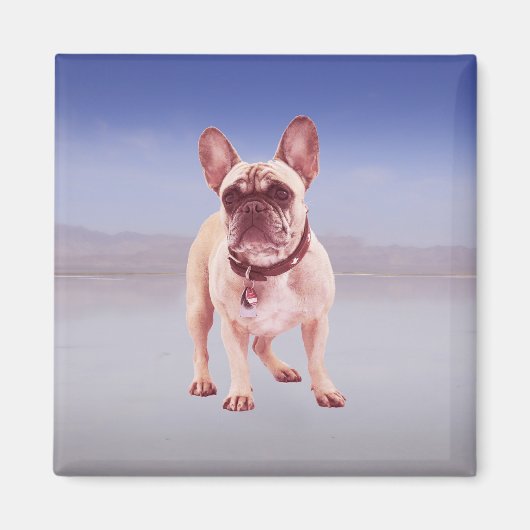 Französischer Bulldog am Strand Magnet (Vorne)