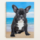 Französischer Bulldog am Strand Planer (Vorderseite)