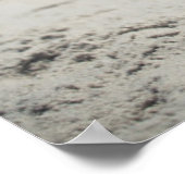 Französischer Bulldog am Strand Poster (Ecke)