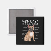 Französischer Bulldog Anatomie Frenchie Dog Lover Magnet (Vorderseite/Rückseite)