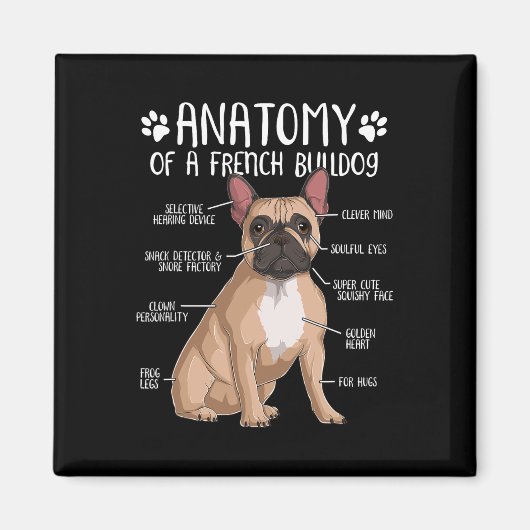 Französischer Bulldog Anatomie Frenchie Dog Lover Magnet (Vorne)