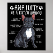 Französischer Bulldog Anatomie Frenchie Dog Lover Poster (Vorne)