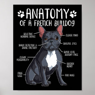 Französischer Bulldog Anatomie Frenchie Dog Lover  Poster