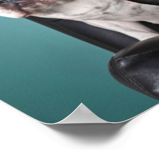 Französischer Bulldog auf dem Stuhl Poster (Ecke)