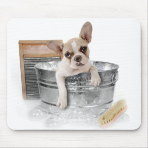 Französischer Bulldog Brown & White Welpe Hund Ba Mousepad